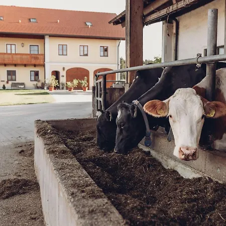 Am Schmiedhof Chaletapartments Neueroeffnung!